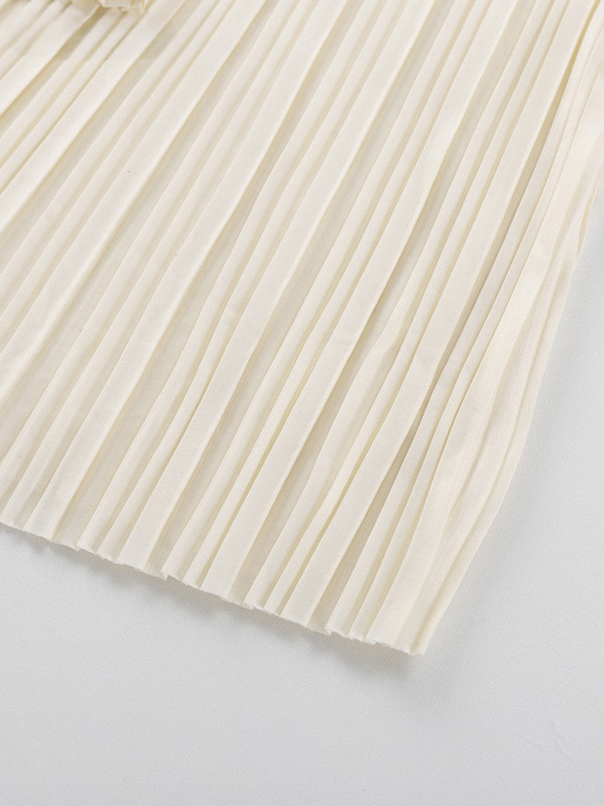 Pleats detailed setup