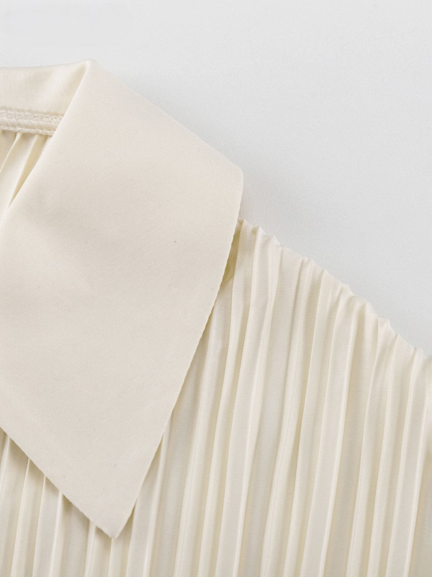 Pleats detailed setup